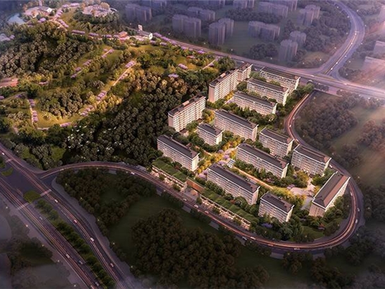 s-545-409-202101261023533632620