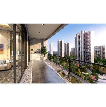 s-372-373-202308171920165684754